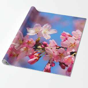Delikate Rosa Sakura-Blume Geschenkpapier