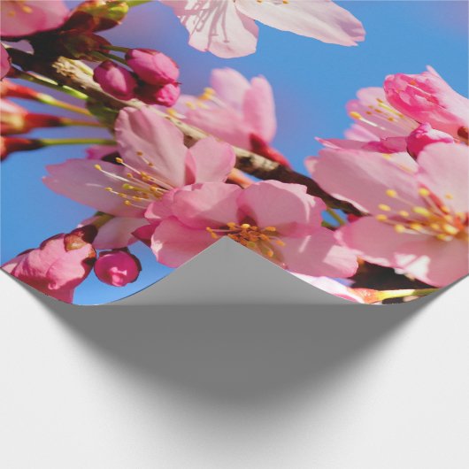 Delikate Rosa Sakura-Blume Geschenkpapier (Ecke)
