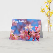 Delikate rosa Sakura Blume im Springtime Karte (Gelbe Blume)