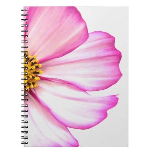 Delikate Rosa Wilde Blume Notizblock (Vorderseite)