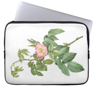 Delikate Rosa Wilde Rose Botanischer Laptop-Sieb Laptopschutzhülle