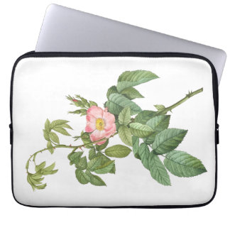 Delikate Rosa Wilde Rose Botanischer Laptop-Sieb Laptopschutzhülle
