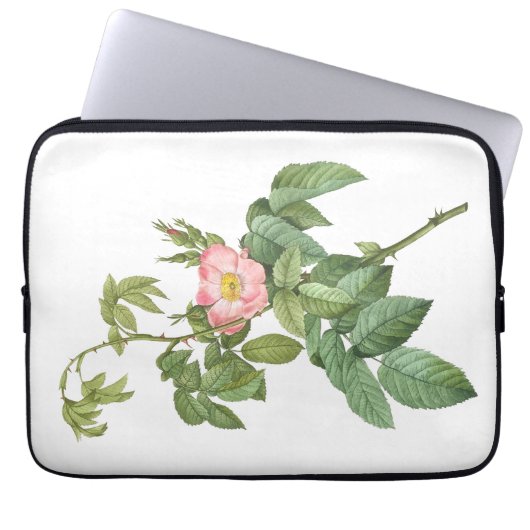 Delikate Rosa Wilde Rose Botanischer Laptop-Sieb Laptopschutzhülle (Vorderseite)