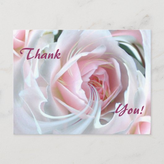 Delikate Rose mit Marmoreffekten Postkarte (Vorderseite)