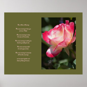 Delikate Rose und Liebe Poster