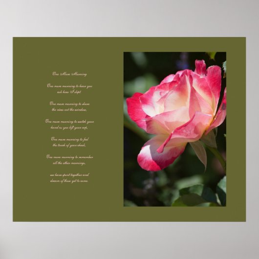 Delikate Rose und Liebe Poster (Vorne)