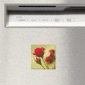 Delikate Rote Rose Magnet (In Situ (Geschirrspüler))