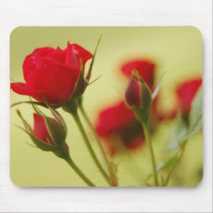 Delikate Rote Rose Mousepad