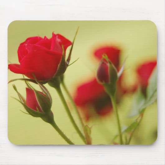 Delikate Rote Rose Mousepad (Vorne)