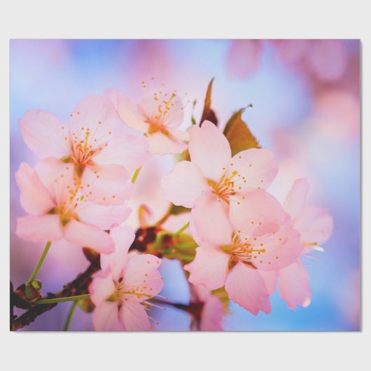 Delikate Sakura-Blume Geschenkpapier (Flach)