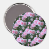 Delikate Schönheit... Magnet (Vorderseite/Rückseite)