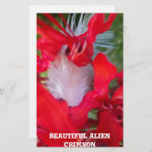 Delikate Schönheit: Rote Blume mit weißem Federn Briefpapier (Vorne/Hinten)