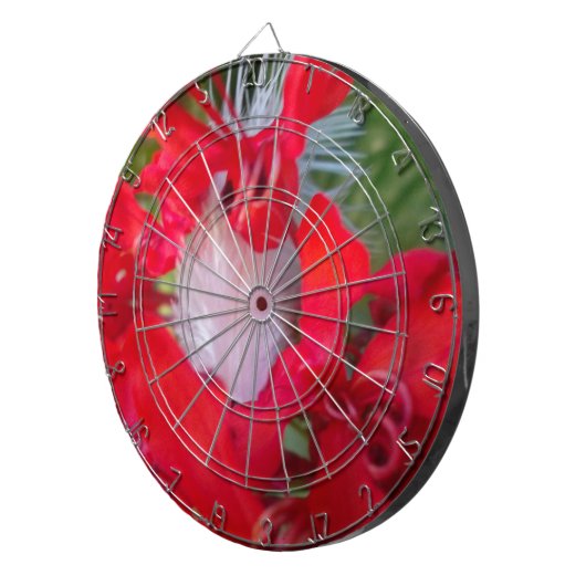 Delikate Schönheit: Rote Blume mit weißem Federn Dartscheibe (Vorderseite rechts)