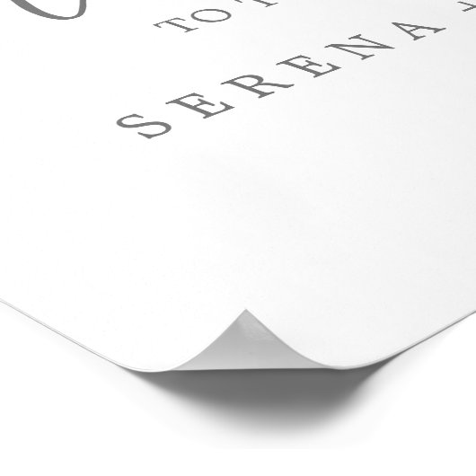 Delikate Silver Calligraphy Wedding Willkommen Poster (Ecke)