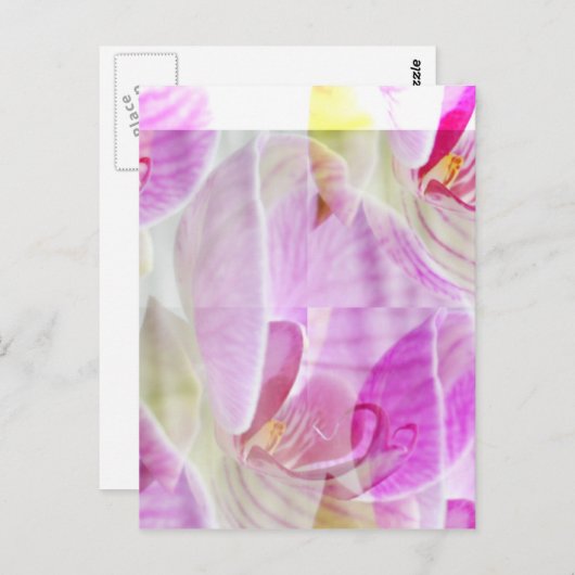 Delikate und schöne Orchideenflora Postkarte (Vorne/Hinten)