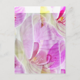 Delikate und schöne Orchideenflora Postkarte