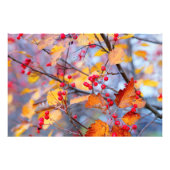 Delikate Waldbeeren im Herbst Fotodruck (Vorne)