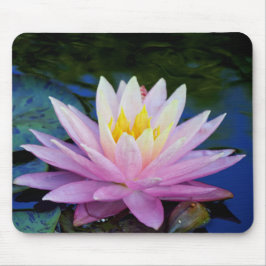 Delikate Wasserlilie Mousepad