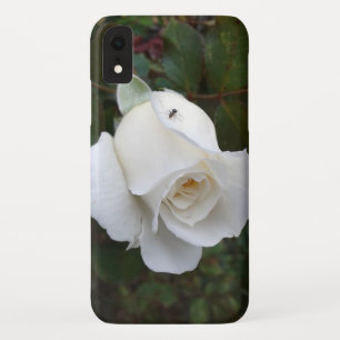 Delikate Weiße Rose-Natur Case-Mate iPhone Hülle