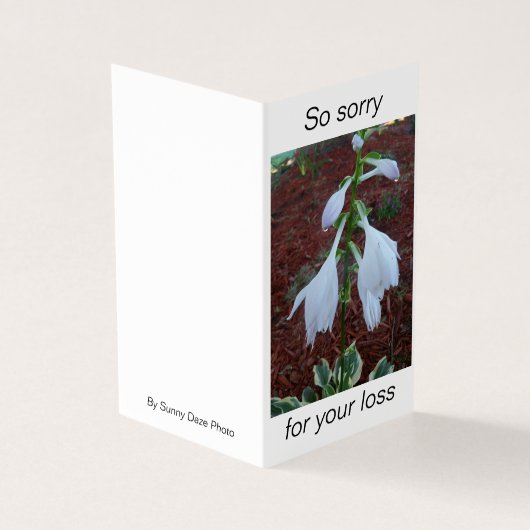 Delikate, weiße Sun Hosta Blume auf einem Beileid (Vorderseite)