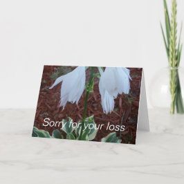 Delikate, weiße Sun Hosta Blume auf einem Beileid Karte