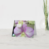 Delikate, weiße und lila Orchidee auf einer Dankes Dankeskarte (Vorderseite)