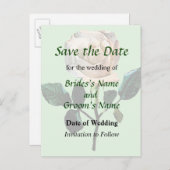 Delikate Weißrosen Save the Date Ankündigungspostkarte (Vorne/Hinten)