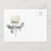 Delikate Weißrosen Save the Date Ankündigungspostkarte (Rückseite)