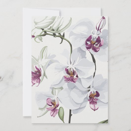 Delikate White Orchids Hochzeit Einladung (Rückseite)