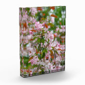 Delikater Apfelbaum mit Blume Fotoblock (Links)