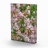 Delikater Apfelbaum mit Blume Fotoblock (Rechts)