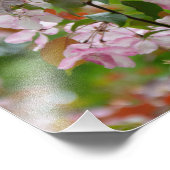 Delikater Apfelbaum mit Blume Fotodruck (Ecke)
