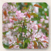 Delikater Apfelbaum mit Blume Getränkeuntersetzer (Vorderseite)