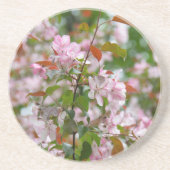 Delikater Apfelbaum mit Blume Getränkeuntersetzer (Vorne)