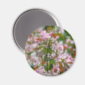Delikater Apfelbaum mit Blume Magnet (Vorderseite/Rückseite)