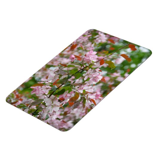 Delikater Apfelbaum mit Blume Magnet (Linke Seite)