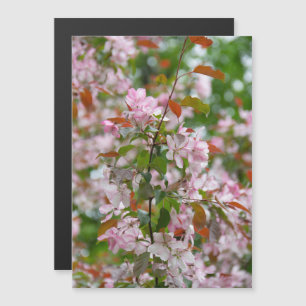 Delikater Apfelbaum mit Blume Magnetkarte