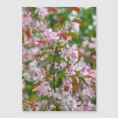 Delikater Apfelbaum mit Blume Magnetkarte (Vorderseite)