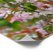 Delikater Apfelbaum mit Blume Poster (Ecke)