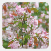 Delikater Apfelbaum mit Blume Quadratischer Aufkleber (Vorderseite)