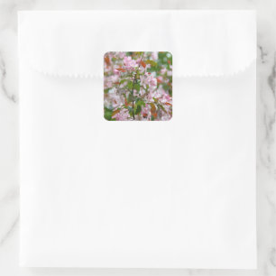 Delikater Apfelbaum mit Blume Quadratischer Aufkleber