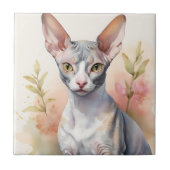 Delikates Cornish Rex Portrait Fliese (Vorderseite)