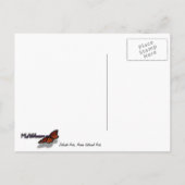 Delikatesse Arche II im Nationalpark Arches Postkarte (Rückseite)