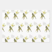 Delikatesse Augenfessler Geschenkpapier Set (Vorderseite 2)