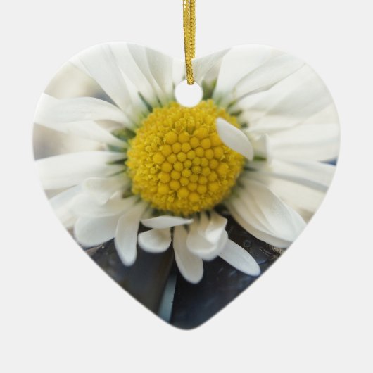 Delikatesse Keramik Ornament (Vorne)