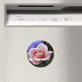 Delikatesse Rose Magnet (In Situ (Geschirrspüler))