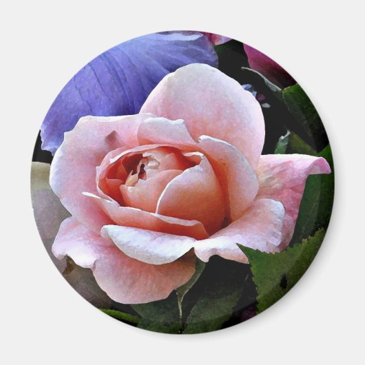 Delikatesse Rose Magnet (Vorne)