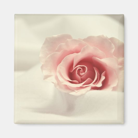 Delikatesse Rose Magnet (Vorne)