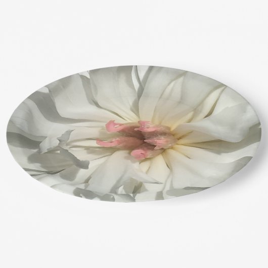 Delikatesse Weiß und Rosa Peony Pappteller (Schrägansicht)