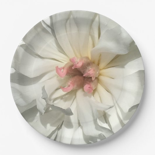 Delikatesse Weiß und Rosa Peony Pappteller (Vorderseite)